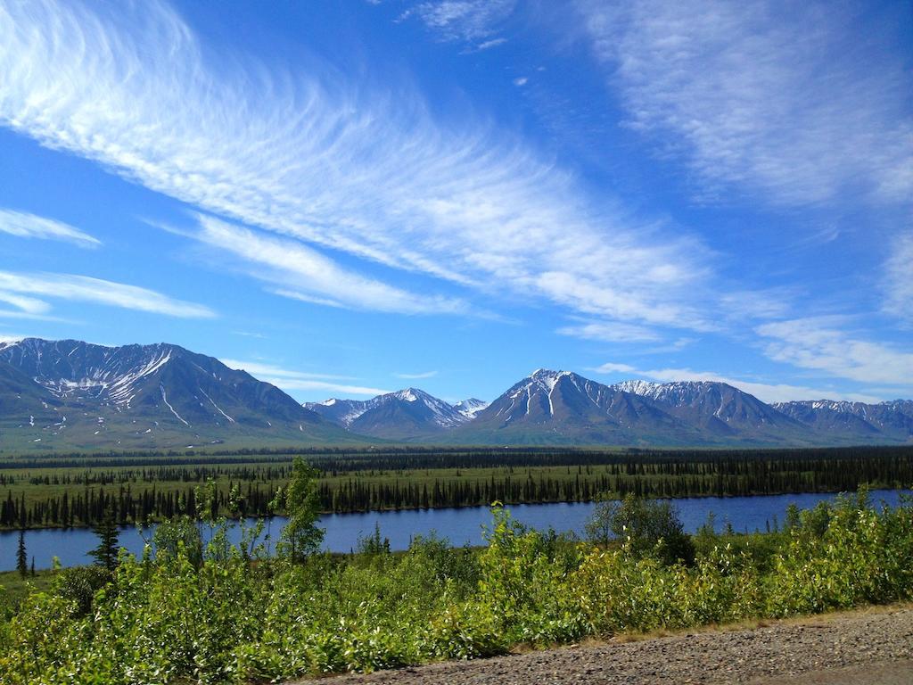 Denali Cabins Denali Park Ngoại thất bức ảnh